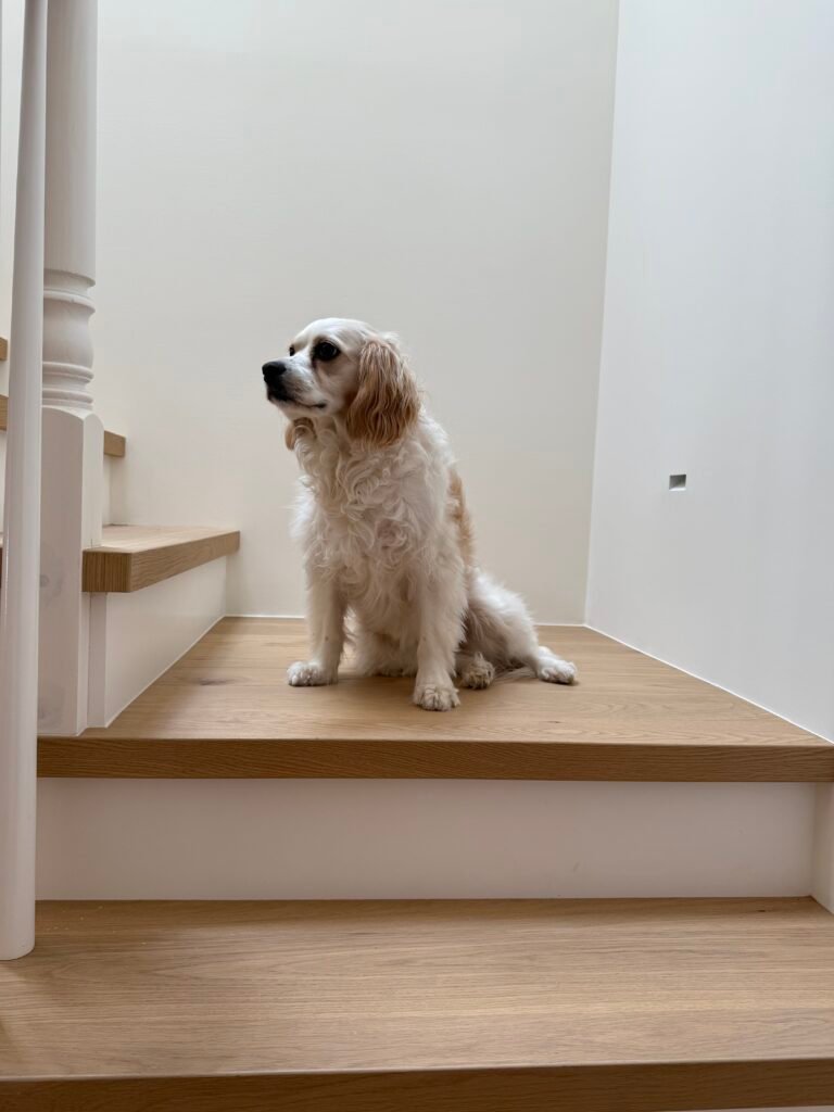 Small dog sitting on a custom oak stair tread with white balusters