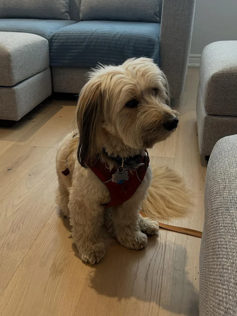 Instagram post from customstairsolutions. This post is in position 2.